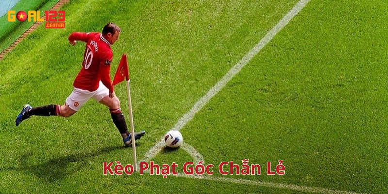 Mẹo Vàng Soi Kèo Phạt Góc Chẵn Lẻ Giúp Tăng Tỷ Lệ Thắng